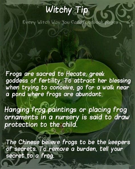 The Dark Side of Frog Witchcraft: Targeting for Destruction